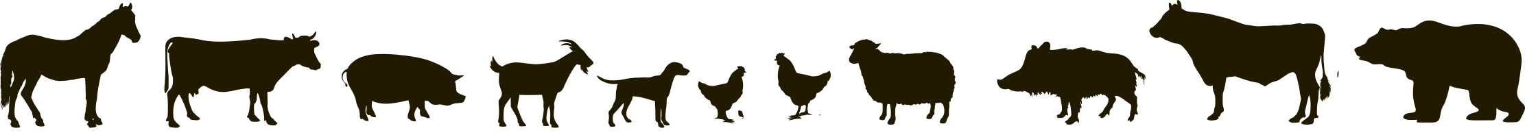 Agro Electro animals